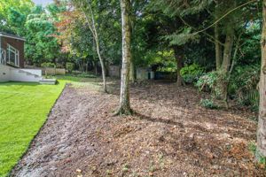 Photo 5- click for photo gallery